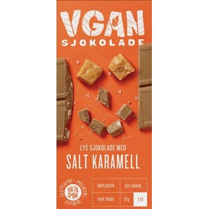 VGAN Salty Caramel Cocoa Bar