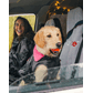 CARSEATCOVER_2.png